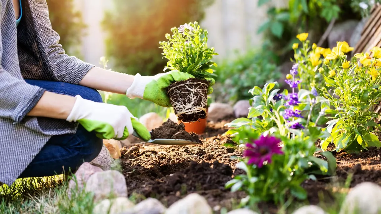 Forskning visar naturens positiva effekt